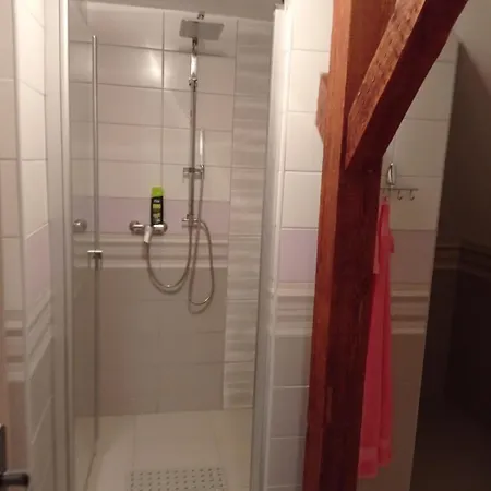 Pancuv Apartment Slany